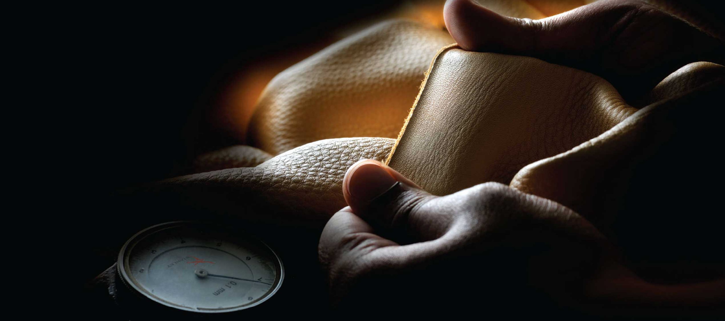 Genuine Leather Is As Adaptive As Your Imagination.